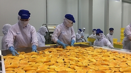 俄罗斯加强进口越南的加工蔬果