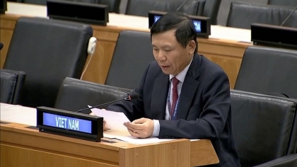 越南代表团出席联合国大会裁军与国际安全委员会一般性辩论