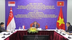 促进越南——新加坡网络安全合作