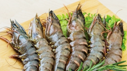 今年前9个月 越南对西班牙的黑虎虾出口强劲增长