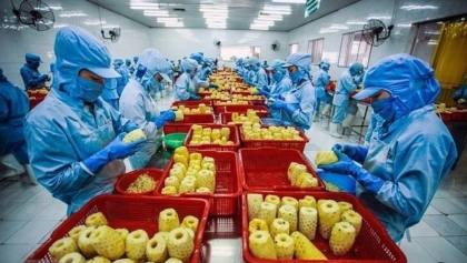 越南蔬果对欧盟出口的新规定