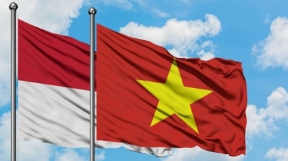 越南和印度尼西亚在医疗、经济、旅游领域进行交流