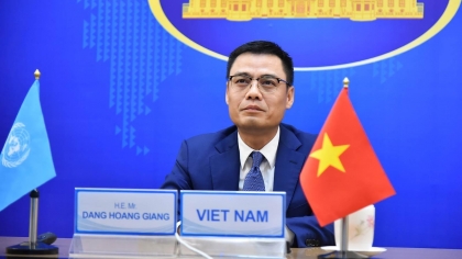 越南期待亚太经合组织（APEC）继续彰显其作为经济合作和联系重要论坛的作用