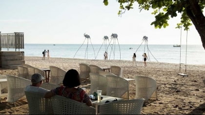 11月份越南接待国际游客量环比增加42.4%