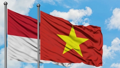 加强越南——印度尼西亚文化交流活动
