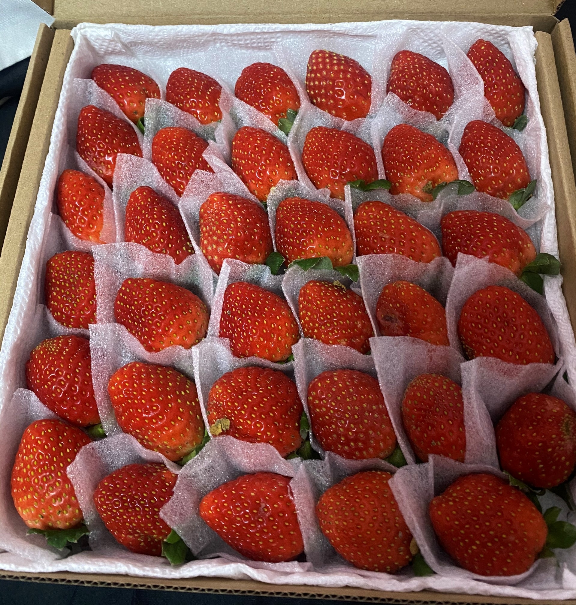 造访大叻市的游客，可以去草莓园，亲手摘草莓吃或买回来做礼物送人。
