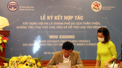 会安市是越南第一个承诺停止销售猫狗肉的城市