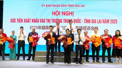 嘉莱省加强对中国市场的出口促进