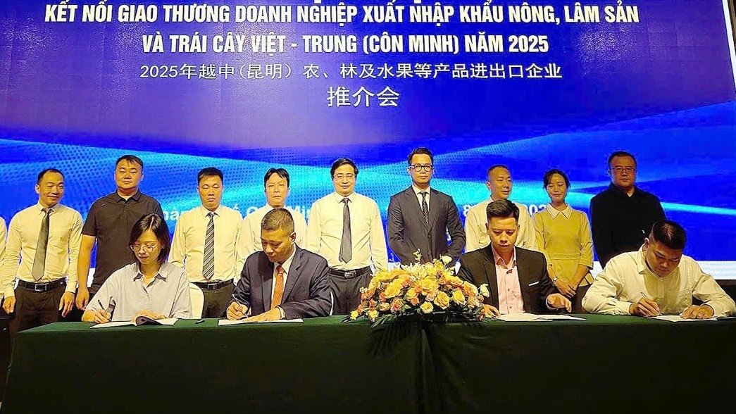 老街省投资贸易促进与企业扶持中心牵头主办的“2025越中（老街）国际贸易博览会”招商活动，于8月19日至21日在中国云南省昆明市和浙江省杭州市成功举办了越中农林产品和水果进出口企业对接洽谈会。此次盛会汇聚了越中两国超过100家企业，共同探讨合作商机。同时，越南农林产品、水果企业代表团也借此机会赴中国云南省和浙江省开展贸易洽谈和市场考察。 出席本次会议的越方代表包括老街省财政厅、工贸厅、外事厅、省人民委员会办公厅以及省投资贸易促进与企业扶持中心等相关厅局和单位的领导。中方有关机构和单位的领导也莅临会议，彰显了双方对此次合作的高度重视。 老街省投资贸易促进与企业扶持中心副主任阮太和在会上发表讲话，强调了此次活动对越中两国国家管理机关、组织和企业的重要意义。他指出，本次洽谈会旨在加强经济交流与合作，促进贸易对接，支持共同发展，同时也为两国企业提供了一个寻找合作伙伴、拓展市场、签署有价值产品销售合作备忘录的绝佳机会。