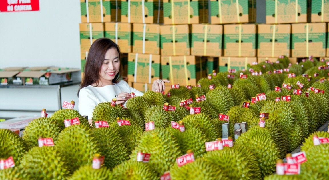 越南农产品。