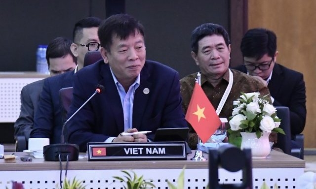 东盟高官会越南代表团代团长武胡大使