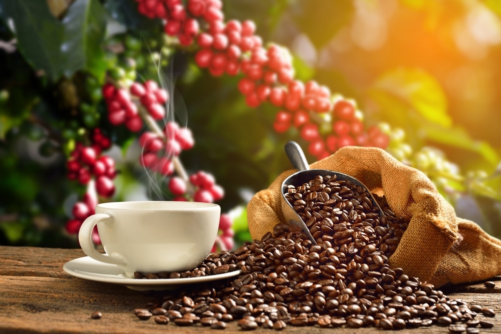 越南是西班牙最大的咖啡供应来源地。