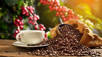 越南是西班牙最大的咖啡供应来源地