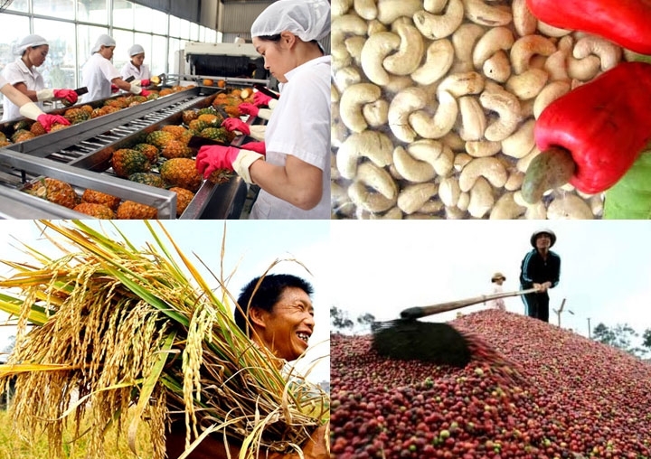 越南大力促进向日本市场出口农产品。