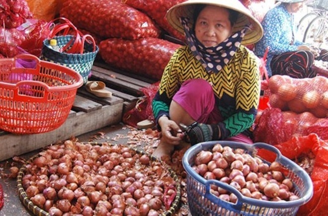 中国仍然是越南紫洋葱、韭菜和大蒜的最大进口市场，2022年出口额超过1700万美元。