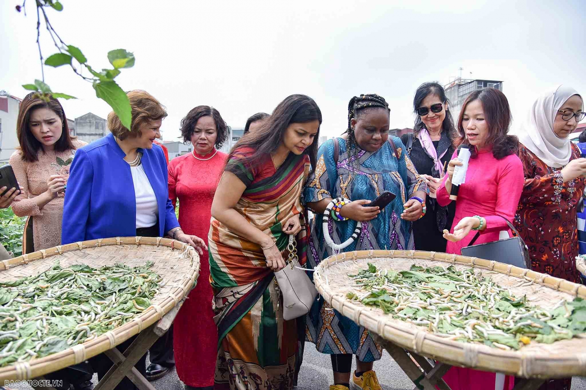 东盟共同体妇女小组与越南外交部在中央桑树研究中心配合举行题为“追寻桑蚕足迹”的外交代表团的会晤。