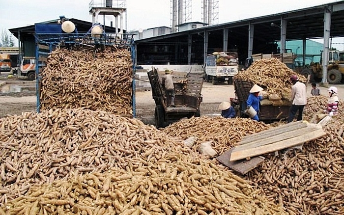 2023年2月，越南对中国出口木薯及木薯制品总量达到43.69万吨，价值为1.6198亿美元。