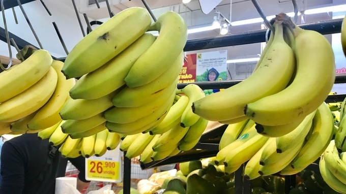 日本市场加大进口越南香蕉