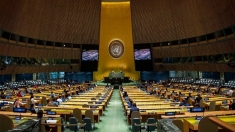 越南分享促进联合国和平文化的重要性