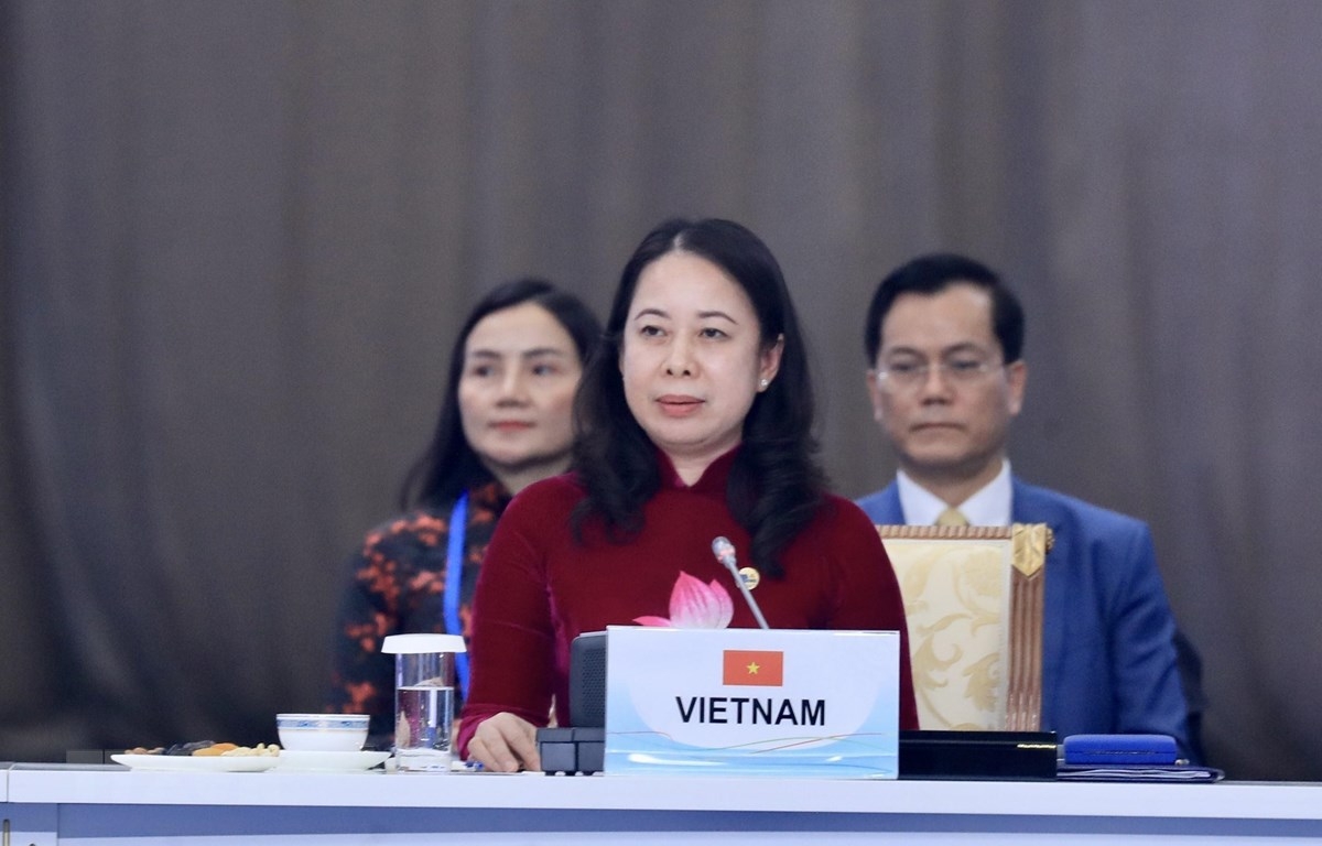越南国家副主席武氏映春在会上发表讲话。