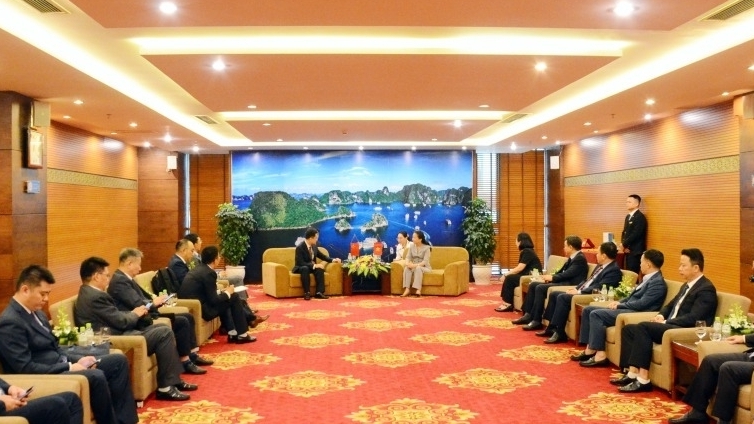 越南广宁省领导礼节性拜会越中陆地边界联合委员会代表团
