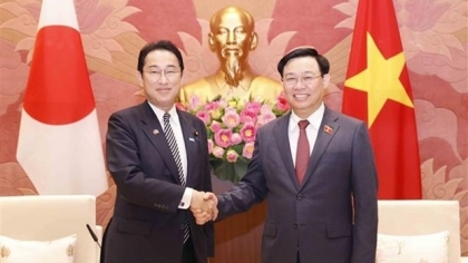 越南国会主席王廷惠会见日本首相岸田文雄