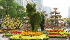 阮惠花街的2022年壬寅年春节主题：家乡之春 充满人文情怀