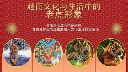 越南文化与生活中的老虎形象