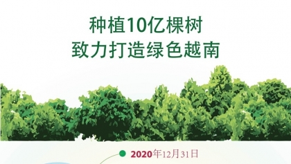 种植10亿棵树 致力打造绿色越南