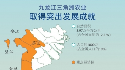 九龙江三角洲农业取得突出发展成就