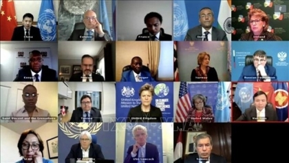联合国安理会就也门局势和埃塞俄比亚局势召开视频会议