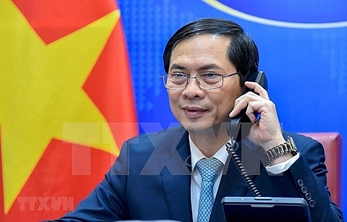 越南外交部部长裴青山（图片来源：越通社）
