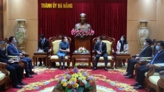 加强岘港市与中国各地省市之间的友谊合作关系