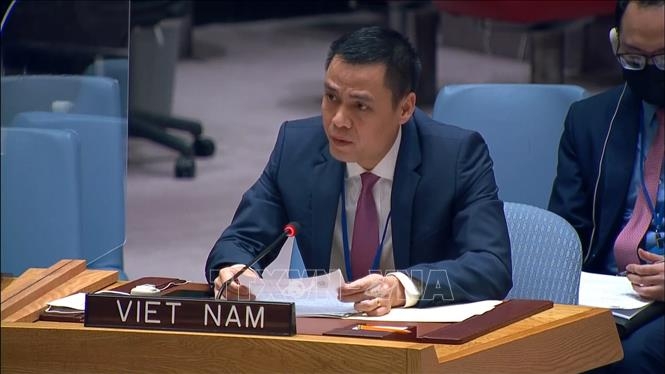越南常驻联合国代表邓黄江大使。图源：越通社。