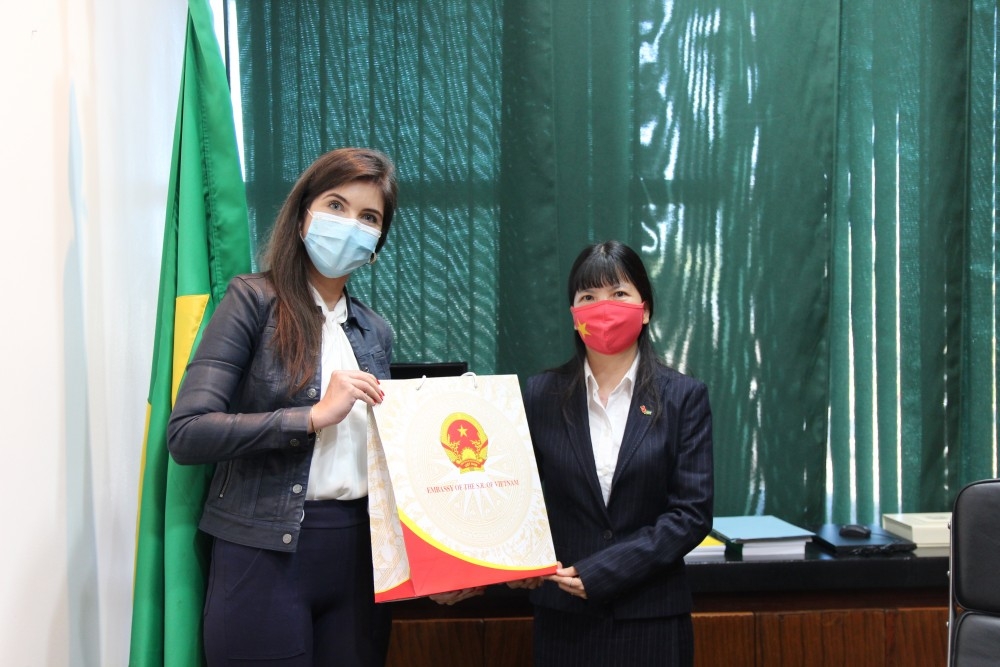 越南驻巴西大使馆向巴西众议院赠送1万只医用口罩