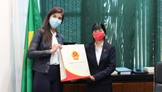越南驻巴西大使馆向巴西众议院赠送1万只医用口罩