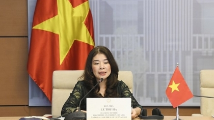 越南出席民主与人权常设委员会视频会议