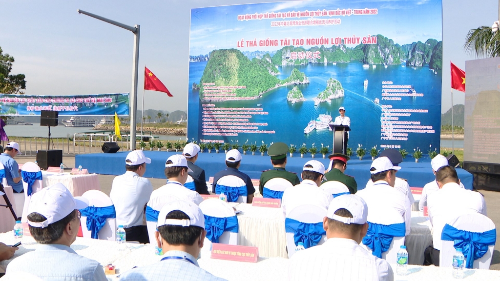 越中两国在携手促进北部湾海域水生资源恢复和再生以及渔业发展