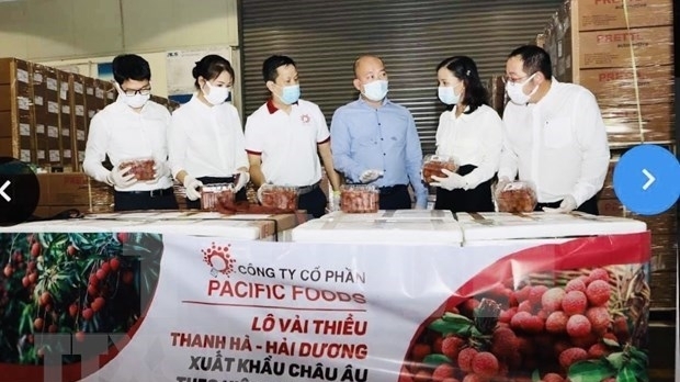 越南荔枝成功征服欧盟市场