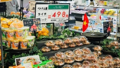 越南新鲜荔枝首次亮相日本鹿儿岛超市