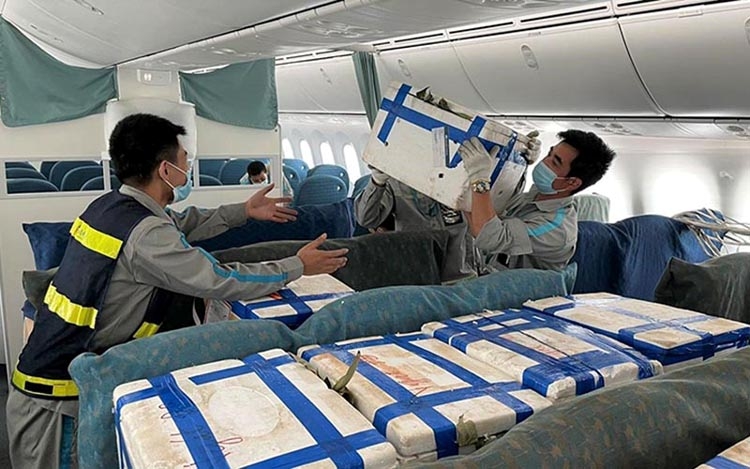 越南航空公司的员工正在装卸荔枝以进行空运