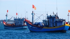 严肃查处任何个人和组织串通和勾结引导越南渔船入侵外国海域从事非法捕捞的行为