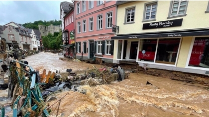 旅居德国越南人帮助所在国克服洪灾后果