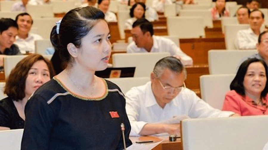 各级人民议会女代表比例近30%，这是越南促进性别平等的明证