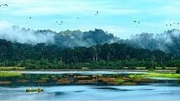 越南吉仙国家公园的野生自然生态