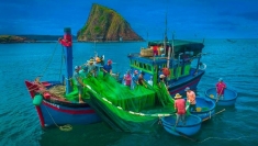 越南努力打击非法、不报告和不管制渔业捕捞行为 为解除IUU“黄牌”