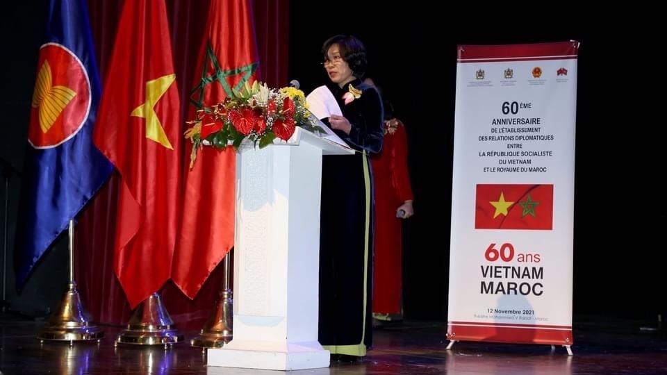庆祝越南 - 摩洛哥建交60周年