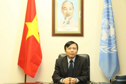 越南肯定了在联合国最重要机构中的作用和地位