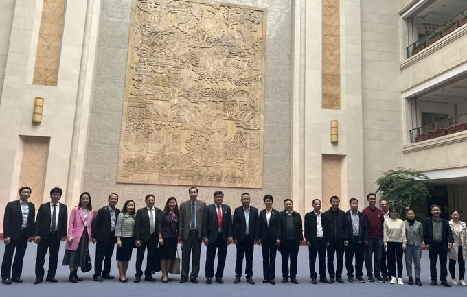 工作代表团参观了中国广东省农业科学院并与进行了交流。