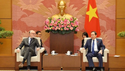 促进越南和法国之间更强有力和有效的合作
